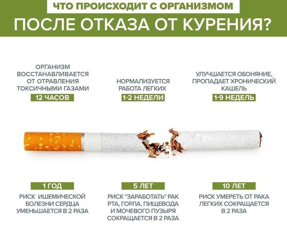 100 фактов о курении