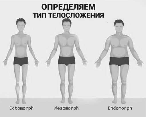 Астеник нормостеник гиперстеник типы телосложения мужчин
