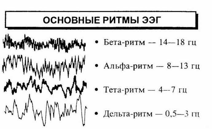 Ритм мозга человека, волны мозга. влияние ритмов мозга.