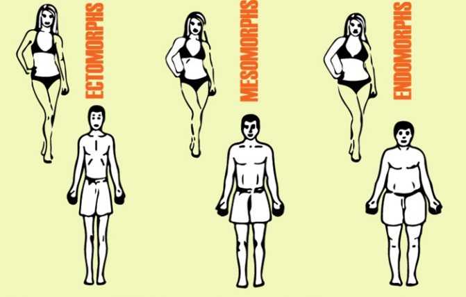 Астеническое телосложение у женщин и мужчин, фото