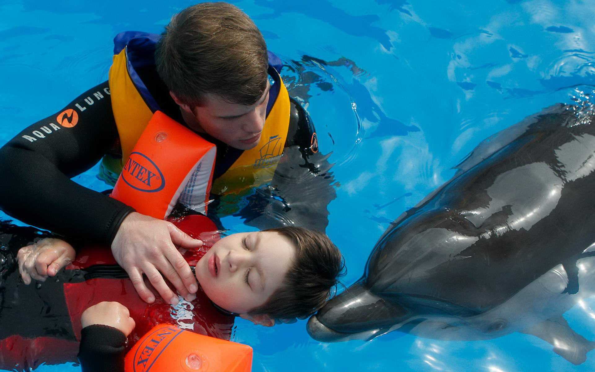 Плавание с дельфинами в москве - отличное занятие для детей и взрослых