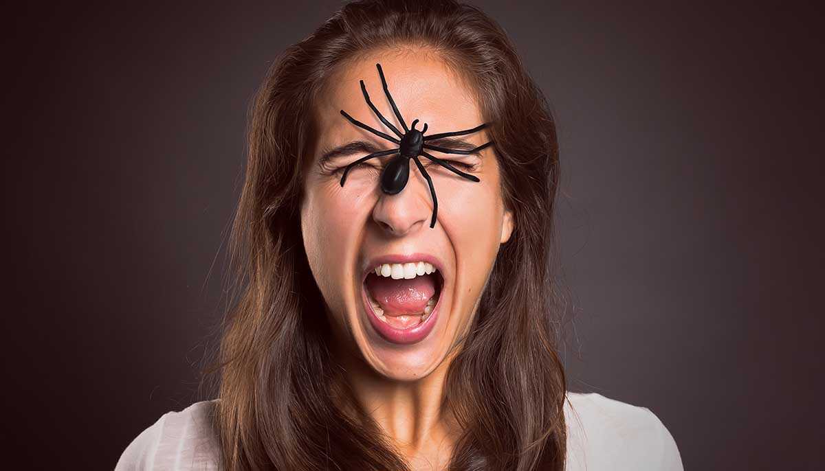 Как называется фобия боязни пауков и как от нее избавиться