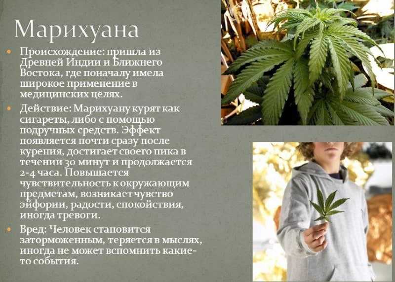 Какое наказание за употребление травки в россии по статье в 2018 году: ответственность за курение