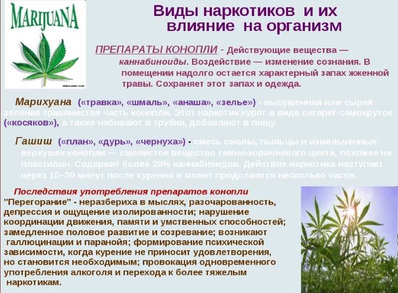 Влияние на психику марихуаны закачка для тор браузера hydra2web