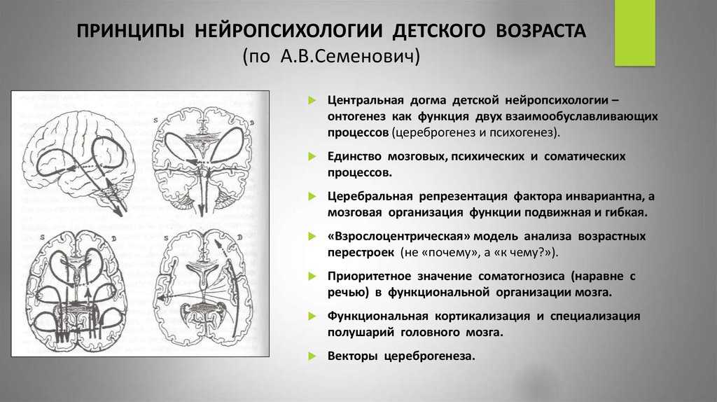 Нейропсихология