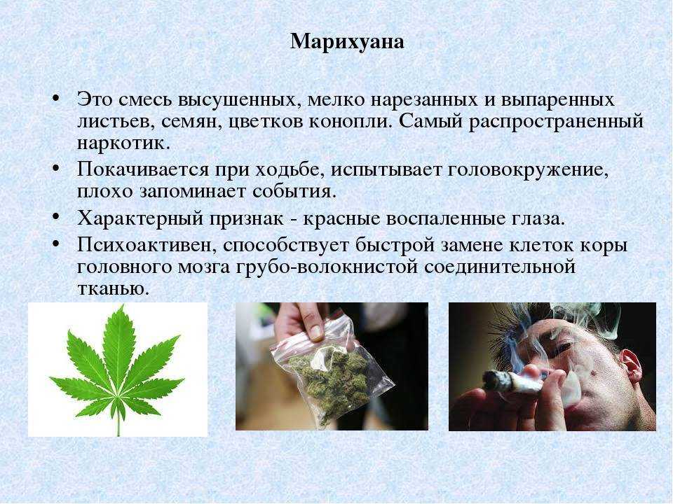 Вреден ли марихуана химическая формула марихуаны