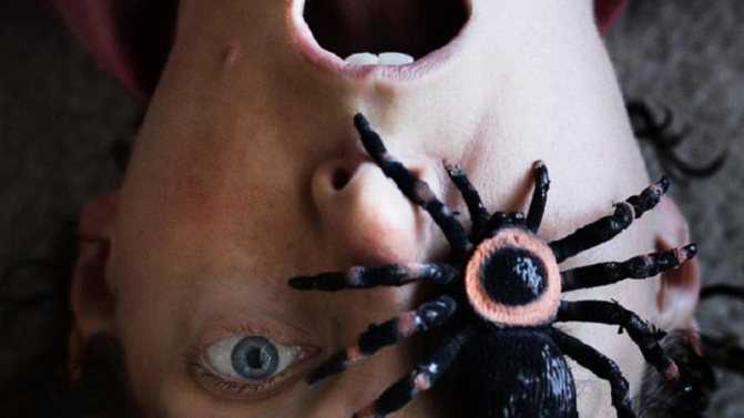 Арахнофобия – это неконтролируемый страх перед пауками иными словами это такое состояние когда субъект испытывает паническую боязнь пауков