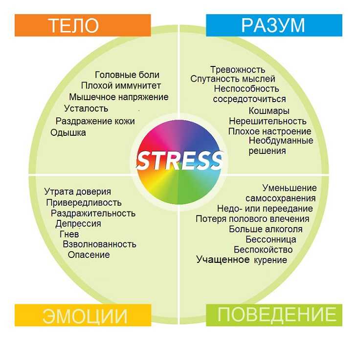 Стресс и его влияние на человека