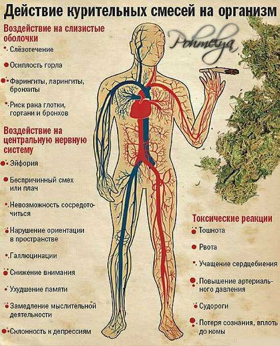 влияние марихуаны на здоровье