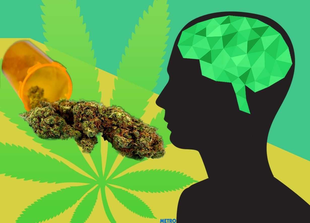 марихуана и работа мозга