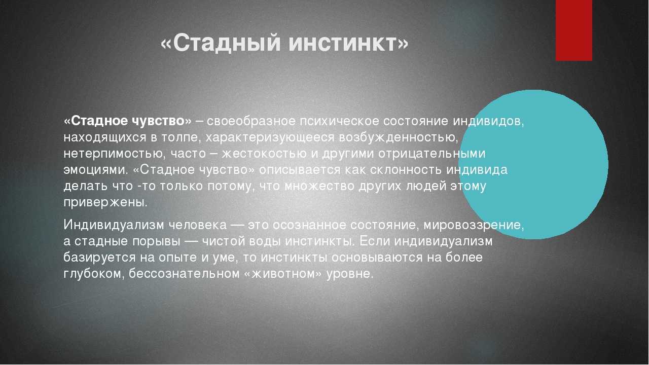 Тесты для выявления уровня знаний студентов по философии к аккредитации ставропольской государственной медицинской академии | контент-платформа pandia.ru