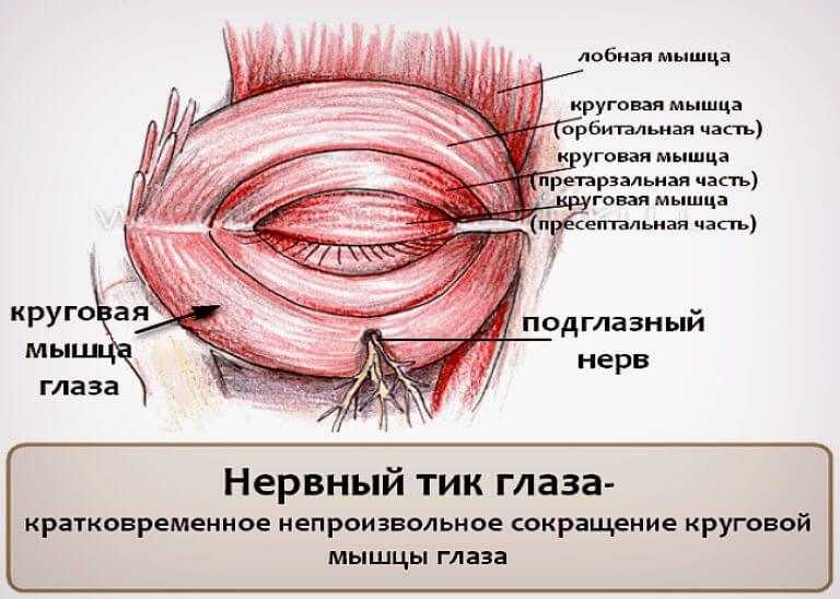 Нервный тик глаза: причины и лечение - "здоровое око"