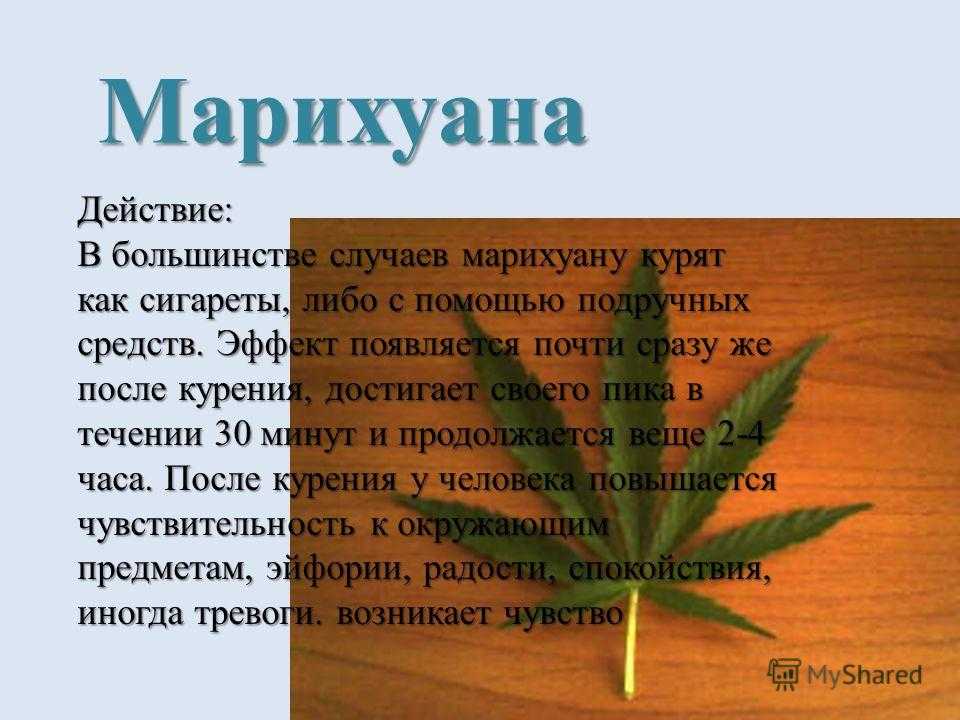 Марихуана даст о себе легализация марихуаны в россии 2017