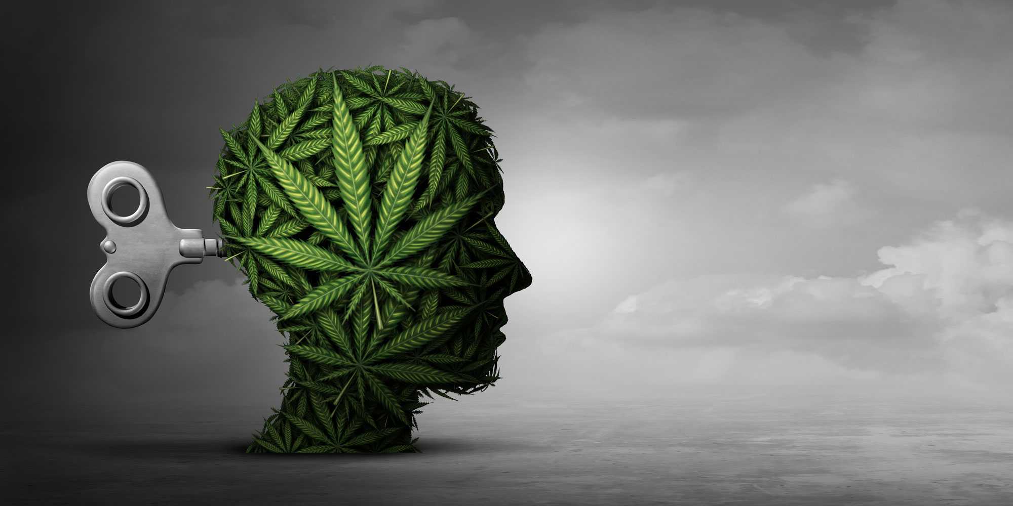 психозы и марихуана