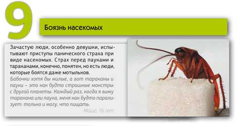 Боязнь насекомых: как называются фобии бабочек, тараканов и червей? что такое инсектофобия или энтомофобия (лепидоптерофобия)?