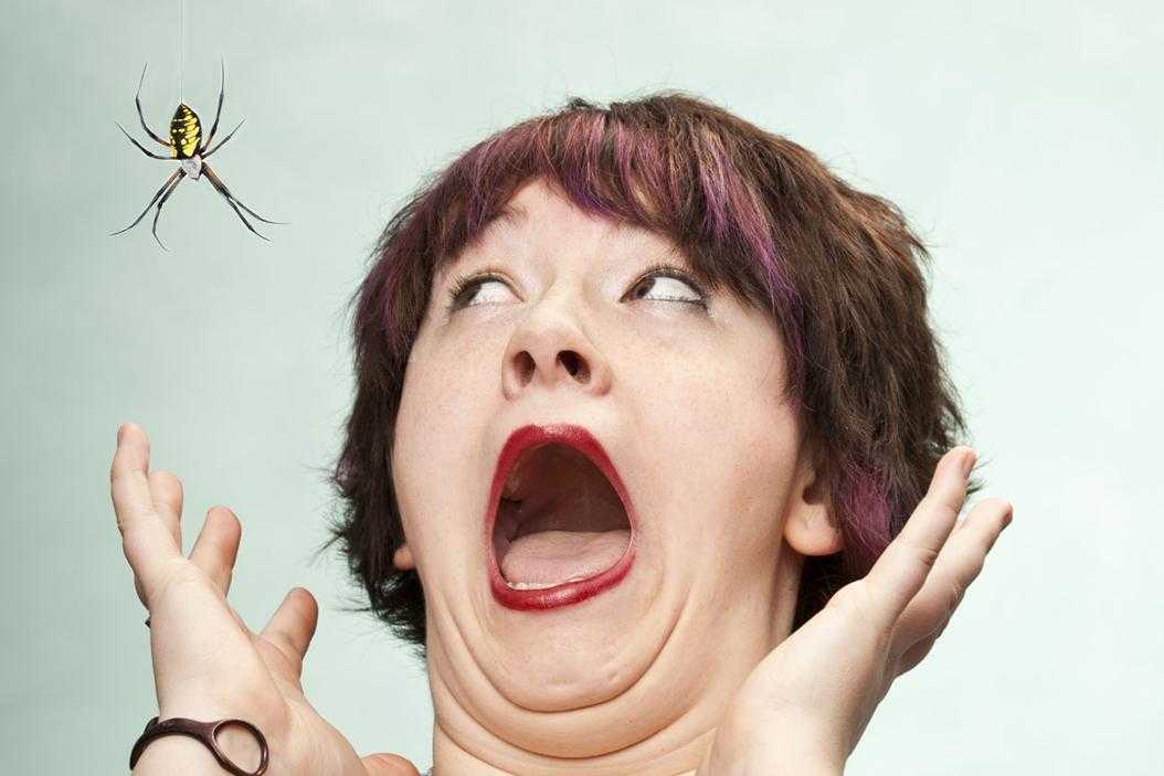 Арахнофобия: что это такое? как избавиться от боязни пауков? каковы симптомы арахнофобии?