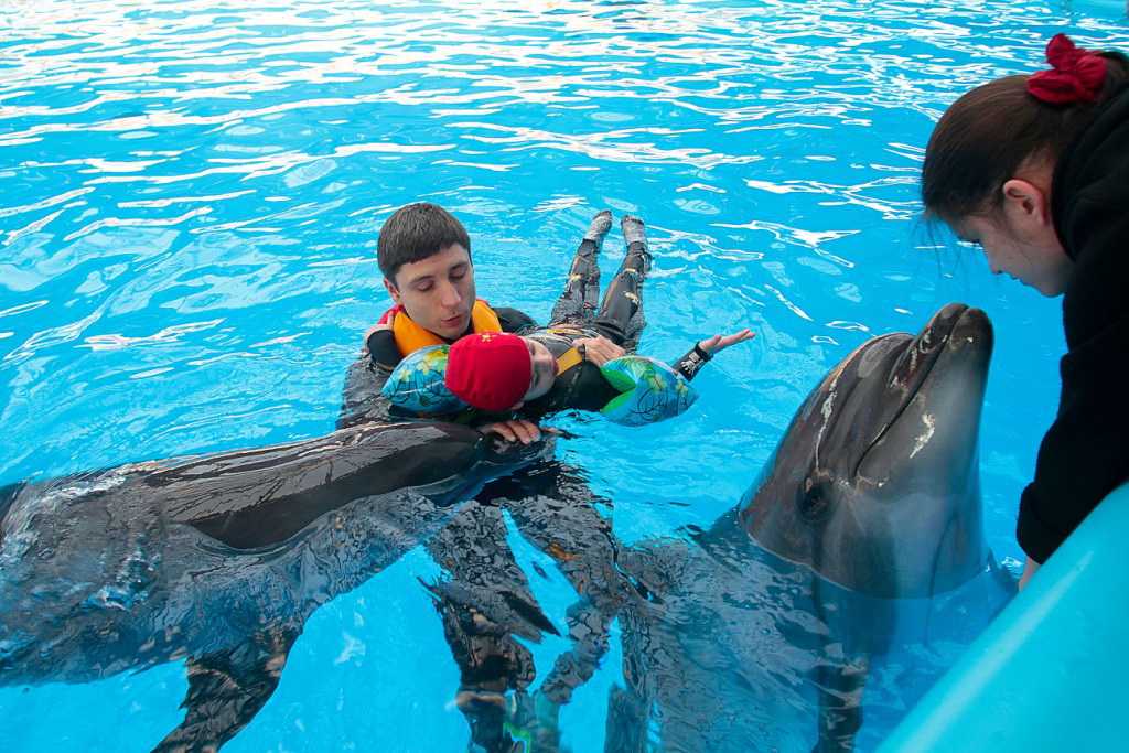 Дельфинотерапия для детей с аутизмом в сети центров немо