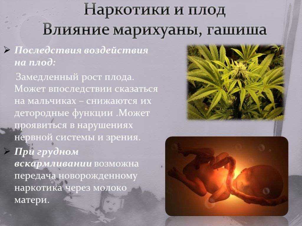 курение марихуаны влияние на ребенка