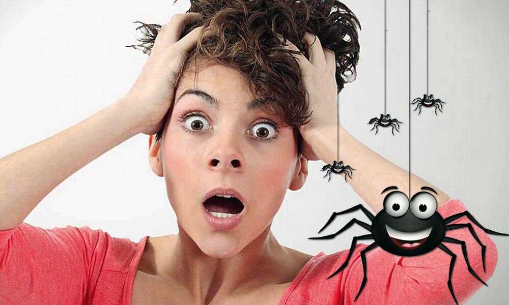 Арахнофобия - боязнь пауков: лечение, причины, симптомы