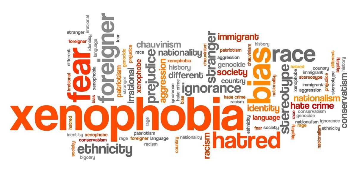 Что такое ксенофобия: суть, причины и типы ксенофобов