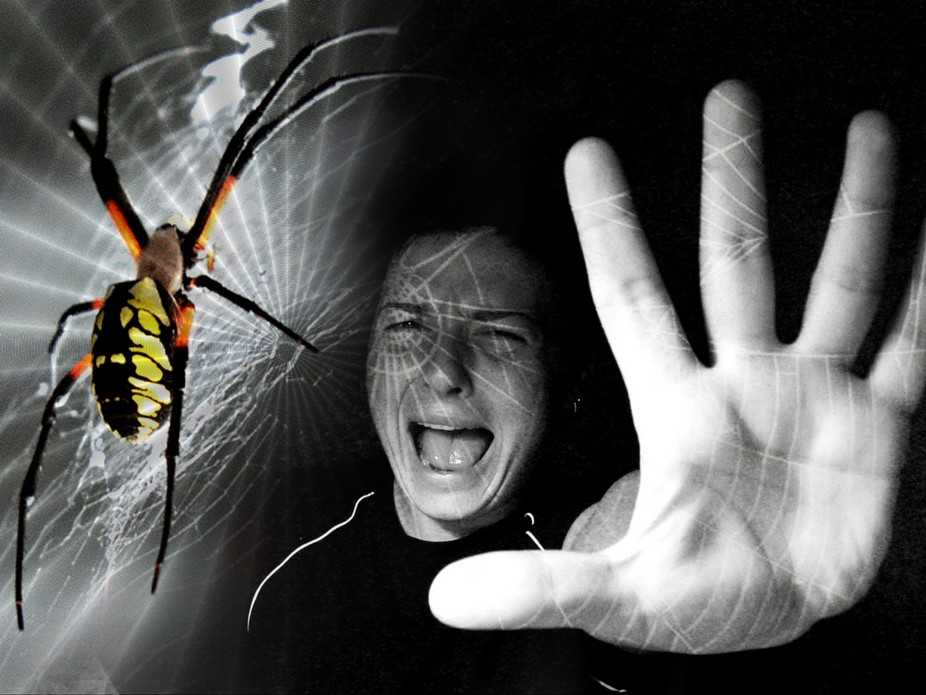 Боязнь насекомых: фобия, как называется, ее особенности и лечение - psychbook.ru