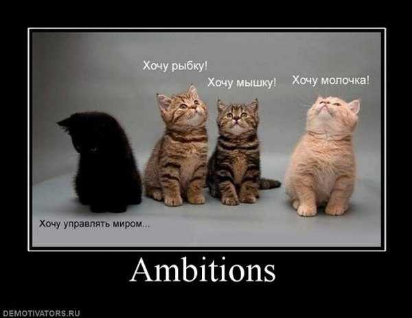 Амбиции- это что такое? какими бывают амбиции