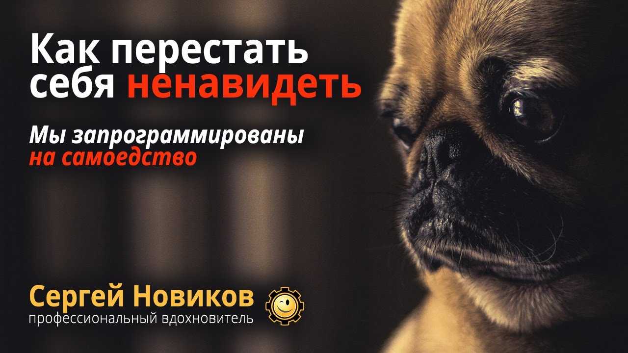 Лекарство от ненависти: как справиться с тем, что разрушает изнутри