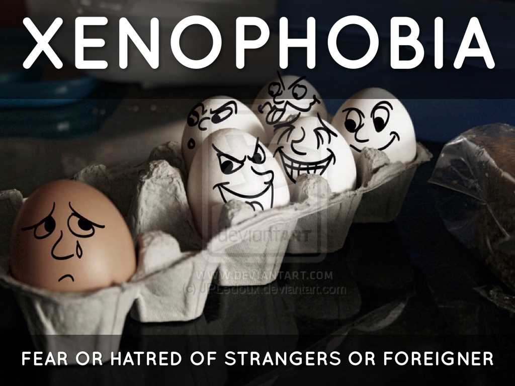 Ксенофобия. определение понятия, кто является ксенофобом, как бороться