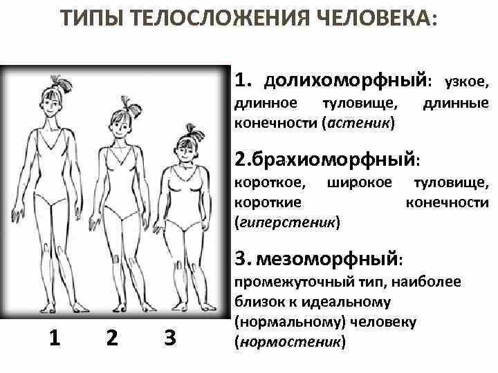 Астенический тип телосложения, особенности характера людей астеников