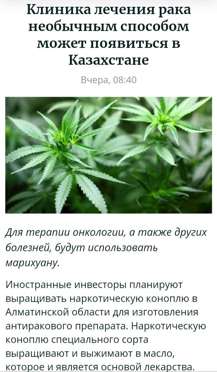 марихуана статья sportwiki
