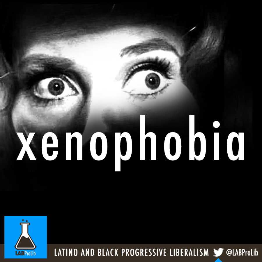Что такое ксенофобия, ее причины и признаки,методики избавления
