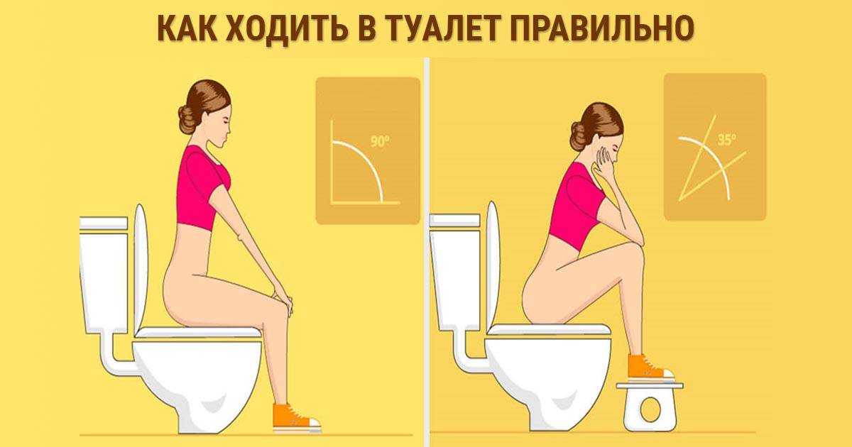 Как сходить в общественный туалет и не подхватить инфекцию