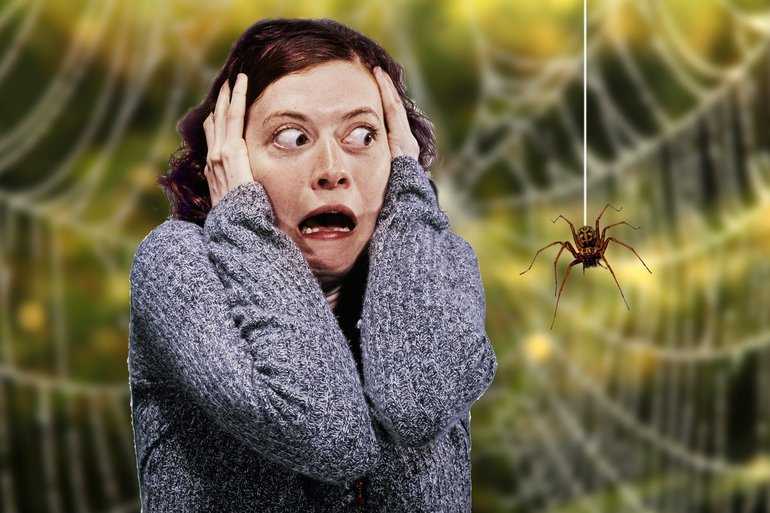 Инсектофобия - страх насекомых - причины и лечение.