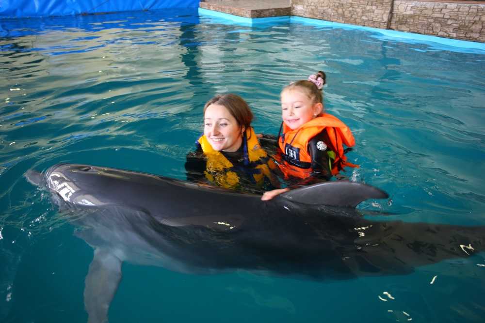 Курс дельфинотерапии - занятия с дельфинами в москве и мо, сеанс дельфинотерапии - стоимость