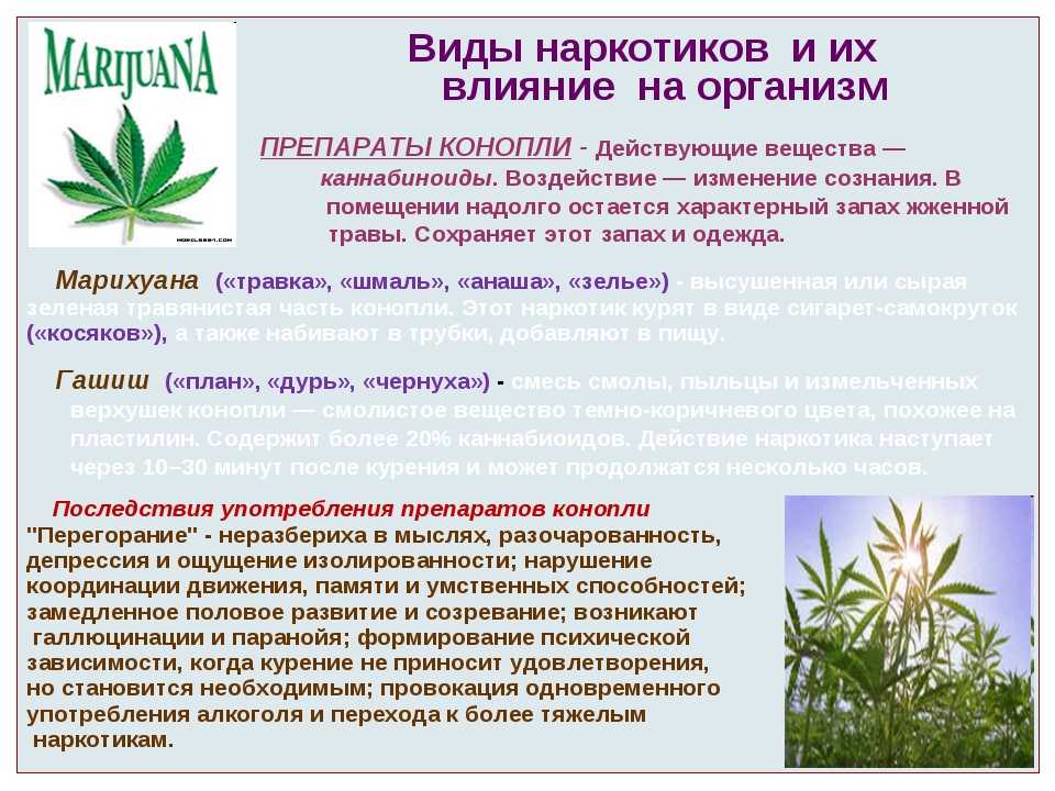 Марихуана административная ответственность за употребление наркотики на русском языке
