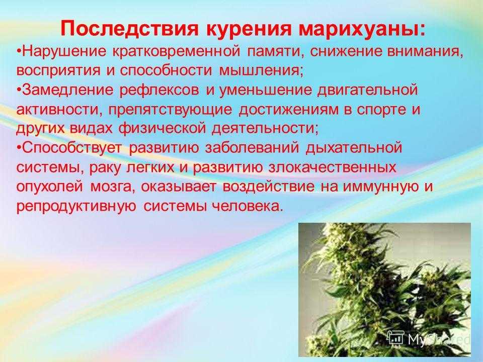 Вред здоровью от марихуаны конопля славянский