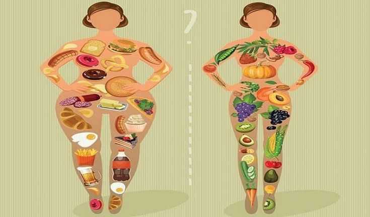 Как похудеть и не навредить своему организму?