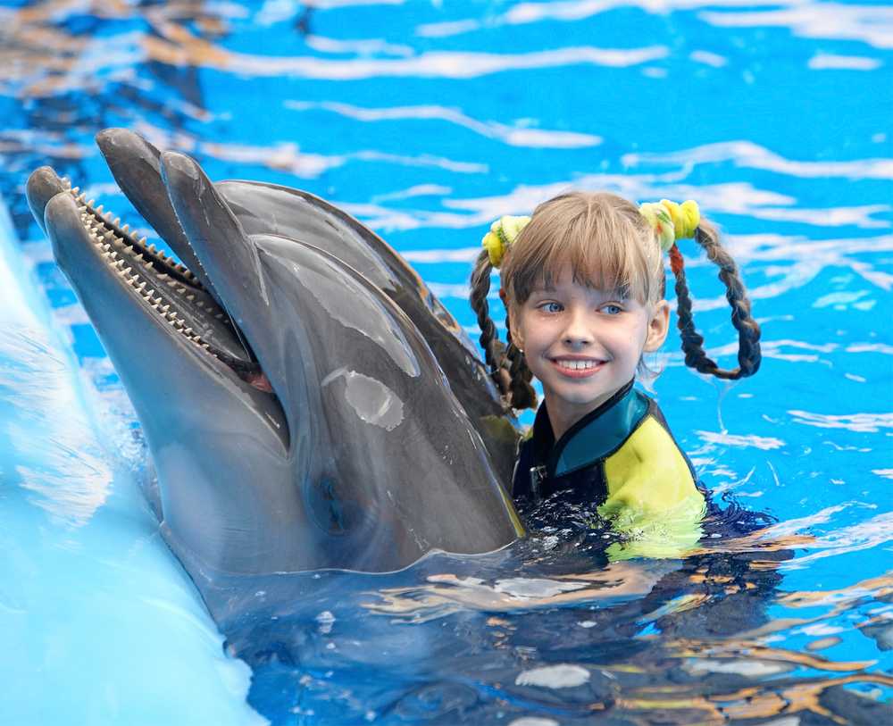 Дельфинотерапия в москве для детей, что такое дельфинотерапия, где есть занятия с дельфинами для детей?