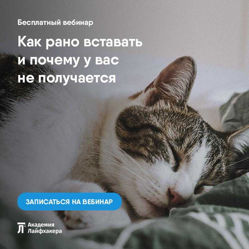 Жить без цели: как наслаждаться жизнью, ничего не делая | brodude.ru