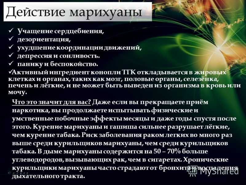 Марихуана что ощущает человек скачать tor browser на русском бесплатно с официального сайта для ios hidra